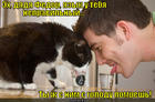https://lolkot.ru/2013/06/14/plastiku-tebe-delat-nada/
