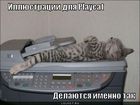 https://lolkot.ru/2011/06/05/playcat-2/