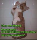 https://lolkot.ru/2015/04/25/pleski-v-vannoy/