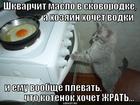 https://lolkot.ru/2012/11/05/plevat-na-vsyo-plevat/