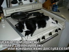 https://lolkot.ru/2011/01/04/plita-zablokirovana/