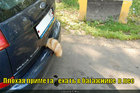 https://lolkot.ru/2011/03/28/plohaya-primeta/