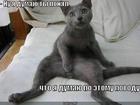 https://lolkot.ru/2011/03/30/po-etomu-povodu/