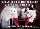 https://lolkot.ru/2012/03/27/po-privychke/