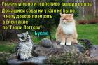 https://lolkot.ru/2015/07/11/po-stanislavskomu/