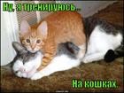 https://lolkot.ru/2015/08/31/po-starinke/