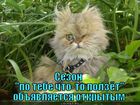 https://lolkot.ru/2012/05/29/po-tebe-chto-to-polzyot/