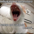 https://lolkot.ru/2010/02/15/pobyval-u-stomatologa/