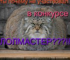 https://lolkot.ru/2010/04/13/pochemu-ne-uchastvoval/