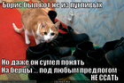 https://lolkot.ru/2012/04/13/pod-lyubym-predlogom/