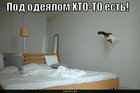 https://lolkot.ru/2010/02/05/pod-odeyalom/
