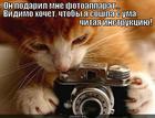 https://lolkot.ru/2013/03/07/podarochki-2/