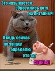 https://lolkot.ru/2016/03/20/podayte-na-obzhiraniye/