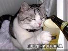 https://lolkot.ru/2011/04/15/poderzhi/