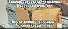 https://lolkot.ru/2024/07/03/podkidnoy-grazhdanin/