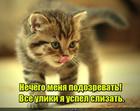 https://lolkot.ru/2017/04/09/podlizal-za-soboy-vse-uliki/