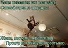 https://lolkot.ru/2015/11/01/podprostynnyy-kot/