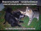 https://lolkot.ru/2012/04/20/podzatylnik/