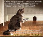 https://lolkot.ru/2014/05/13/poema-pro-ruzhe/