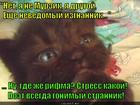 https://lolkot.ru/2015/04/07/poet-2/
