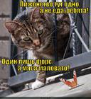 https://lolkot.ru/2013/09/11/pofarsims/