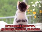 https://lolkot.ru/2012/08/31/pogoda-neletnaya/