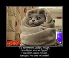 https://lolkot.ru/2017/06/03/pogodu-na-zavtra-peredadim-poslezavtra-s/