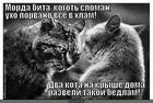 https://lolkot.ru/2013/07/19/pogovorili-2/