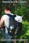 https://lolkot.ru/2012/06/13/pohod/