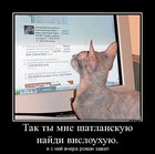 https://lolkot.ru/2012/08/13/poisk/