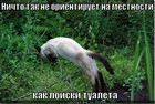 https://lolkot.ru/2011/12/07/poiski-tualeta/