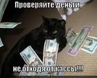 https://lolkot.ru/2013/08/15/poka-goryacho/
