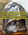 https://lolkot.ru/2016/04/18/pokoritelnyy-rytsar/