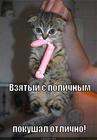 https://lolkot.ru/2012/09/27/pokushal-otlichno/
