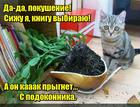 https://lolkot.ru/2016/05/25/pokusheniye-na-botanika/