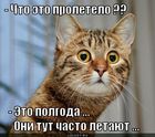 https://lolkot.ru/2012/04/04/polgoda/