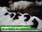 https://lolkot.ru/2011/02/21/politkorrektnost/