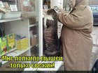 https://lolkot.ru/2010/11/26/polkilo-myshey/