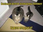 https://lolkot.ru/2012/11/28/polnit/