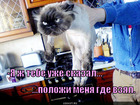 https://lolkot.ru/2010/09/29/polozhi-gde-vzyal/