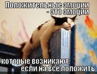 https://lolkot.ru/2012/03/28/polozhitelnyye-emotsii/