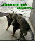https://lolkot.ru/2012/09/25/polyubi-menya/