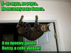 https://lolkot.ru/2016/07/02/polzunok/