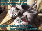 https://lolkot.ru/2017/06/25/pomechatelnaya-toska/