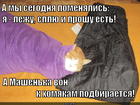 https://lolkot.ru/2014/11/29/pomenyalis-mestami/