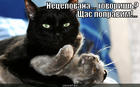 https://lolkot.ru/2013/01/15/poprovitel/