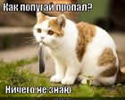 https://lolkot.ru/2012/01/08/popugay-propal/