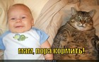 https://lolkot.ru/2012/04/18/pora-kormit/