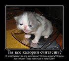 https://lolkot.ru/2012/01/10/pora-nayestsya-i-napitsya/