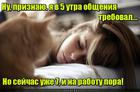 https://lolkot.ru/2016/01/09/pora-obschatsya/